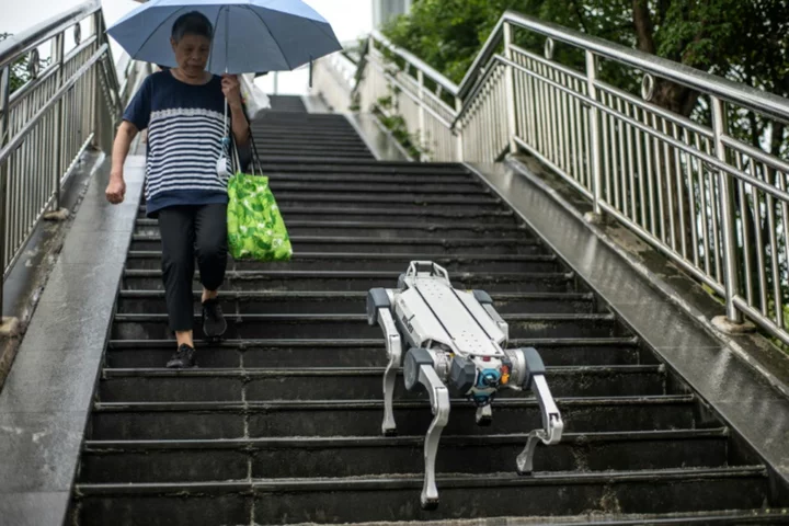 Hi, Robot: machines take over at China's Asian Games