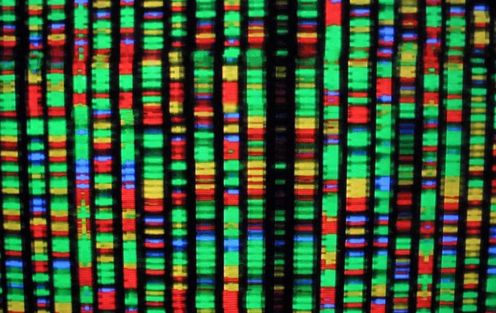 23andMe says hacker appears to have stolen people’s genetic information