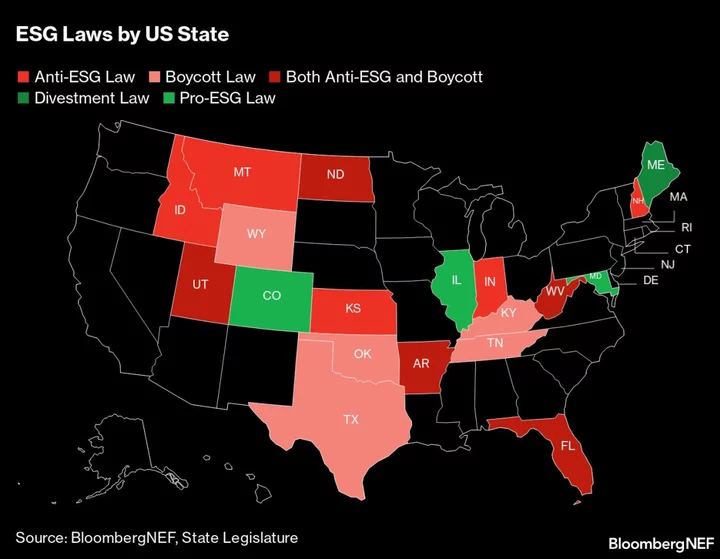  ‘ESG’ Is Too Important to Ax, Investors Say