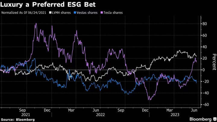 Louis Vuitton Owner Emerges as ESG Magnet With $17 Billion Stake