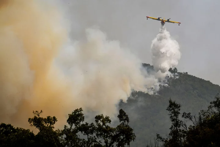 Portuguese Firefighters on Alert After Containing Border Blaze