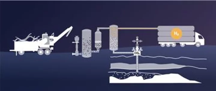 Mote Kicks Off Second Biomass to Hydrogen Project in Northern California