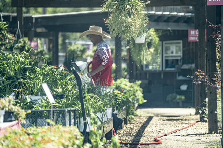 Temperatures Will Top 100F in Multiple US States This Week