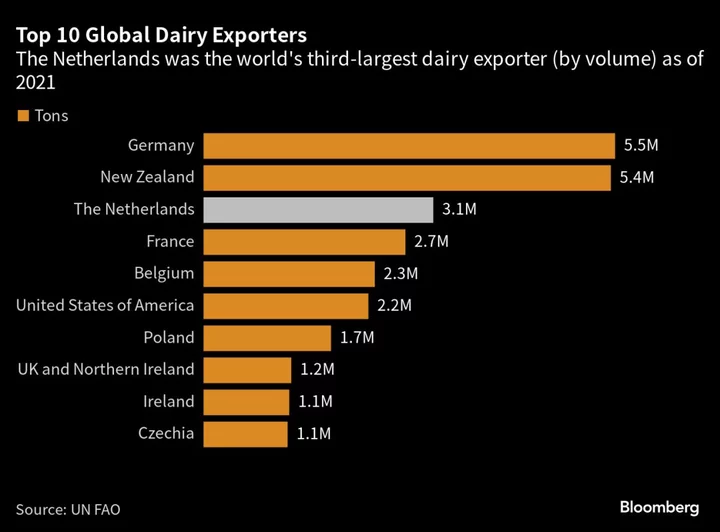 Dutch Farmer-Turned-Banker Urges Cleaner-Farming Shift Amid Nitrogen Crisis