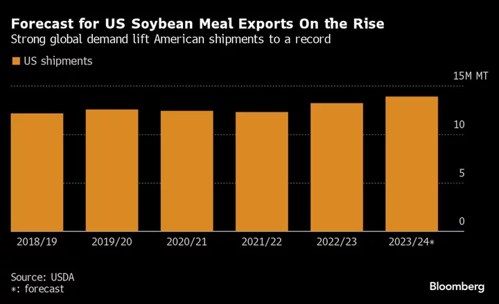Biofuel Boom to Push US Soy Meal Exports to Record High