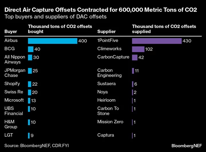Morgan Stanley Says a ‘Reckoning’ Is Gripping CO2 Offsets Market