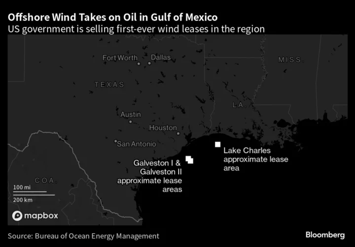 Hope for Offshore Wind Boom in Gulf of Mexico Dims With Low Bids