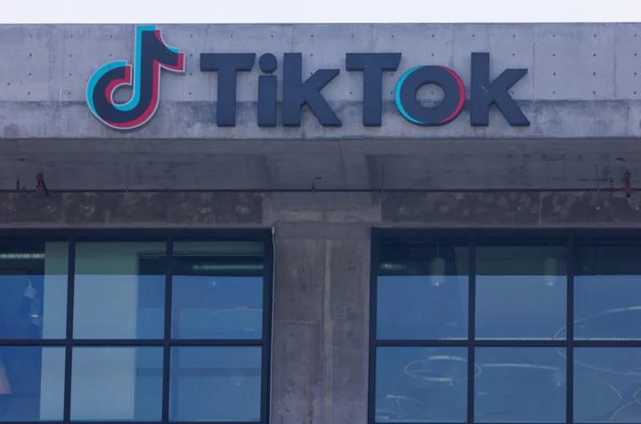 Factbox-Why does the US want to ban TikTok? The allegations against it