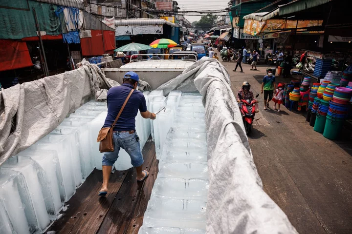 El Nino’s Fierce Heat Carries New Risk of Resurgent Deadly Viruses