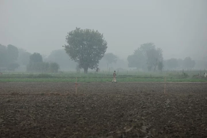 Indian capital gets a breather as rain brings respite from smog